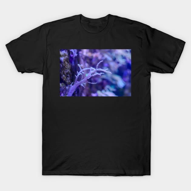 Tree-like coral T-Shirt by lena-maximova